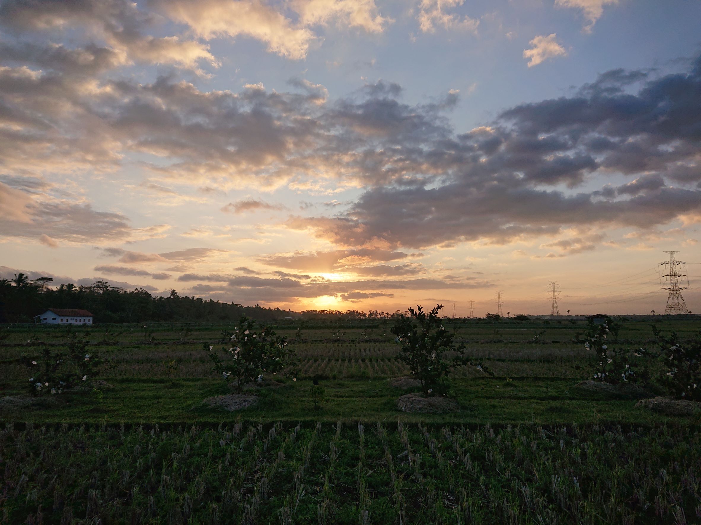 DSC_1878_RES
